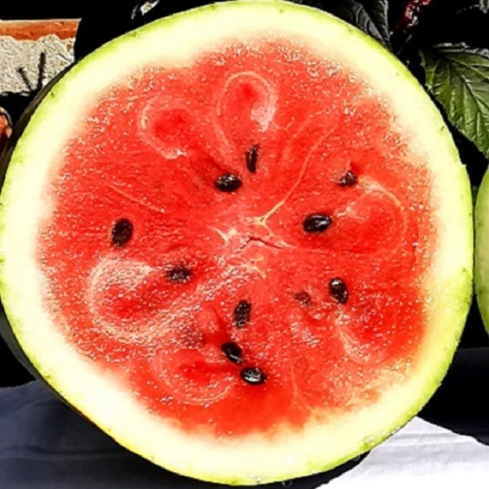Moon & Star Watermelon Seeds (Heirloom, Non-GMO) - 1oz