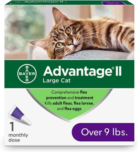 Advantage II for Large Cats Over 9 Lbs - 2 Doses
