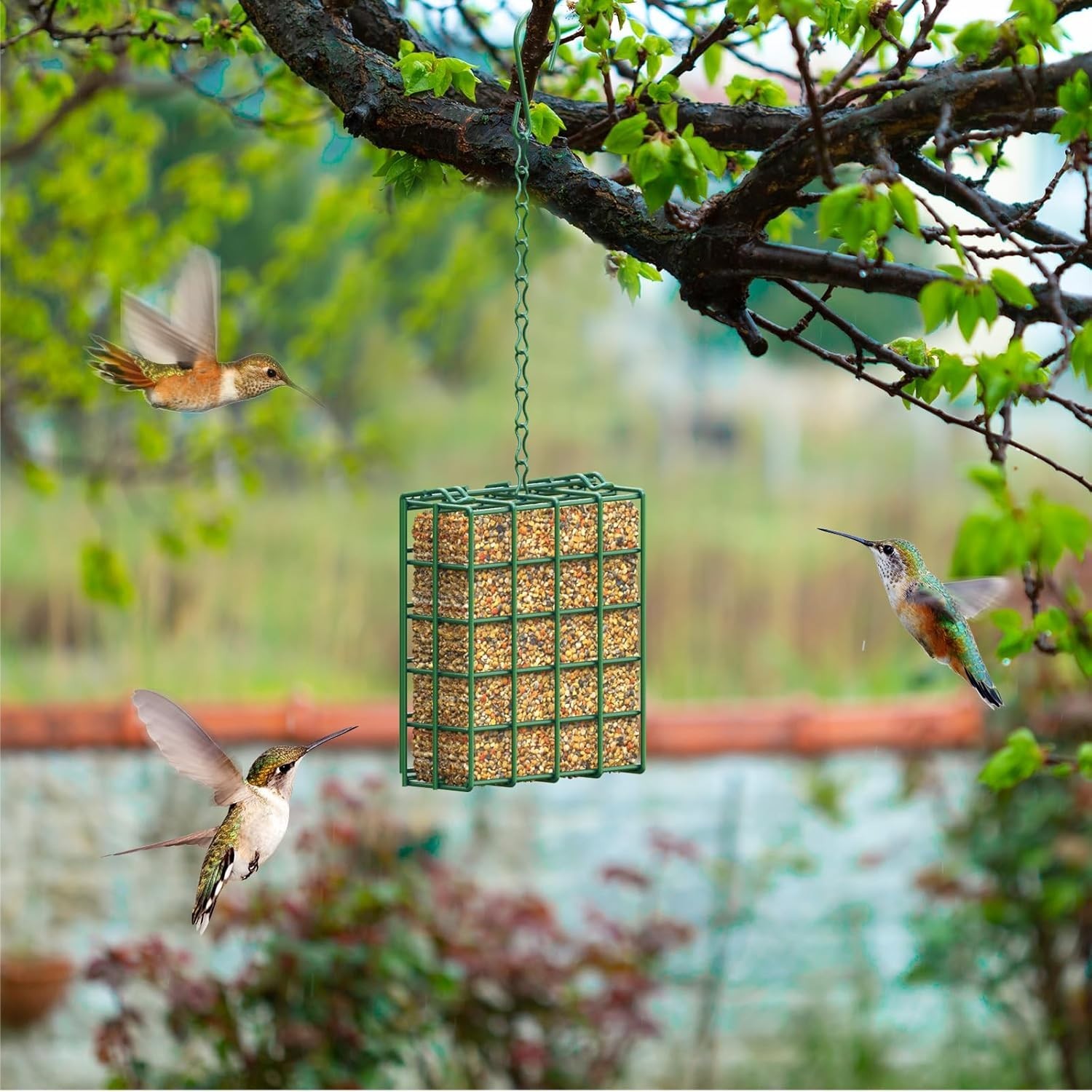 Stokes Select Suet Feeder Hanging Bird Feeder Single Suet Ca...
