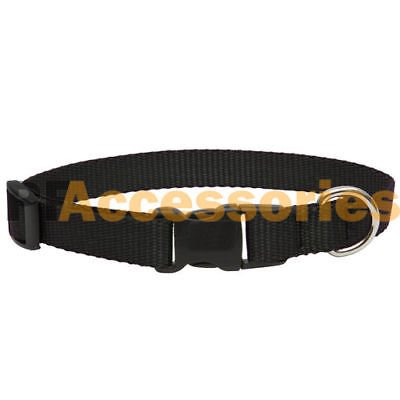Small Dog Puppy Cat Adjustable Nylon Collar in Black and Red