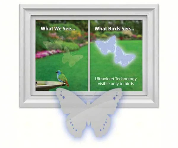 Window Alert Butterfly Decal (4 per Package)
