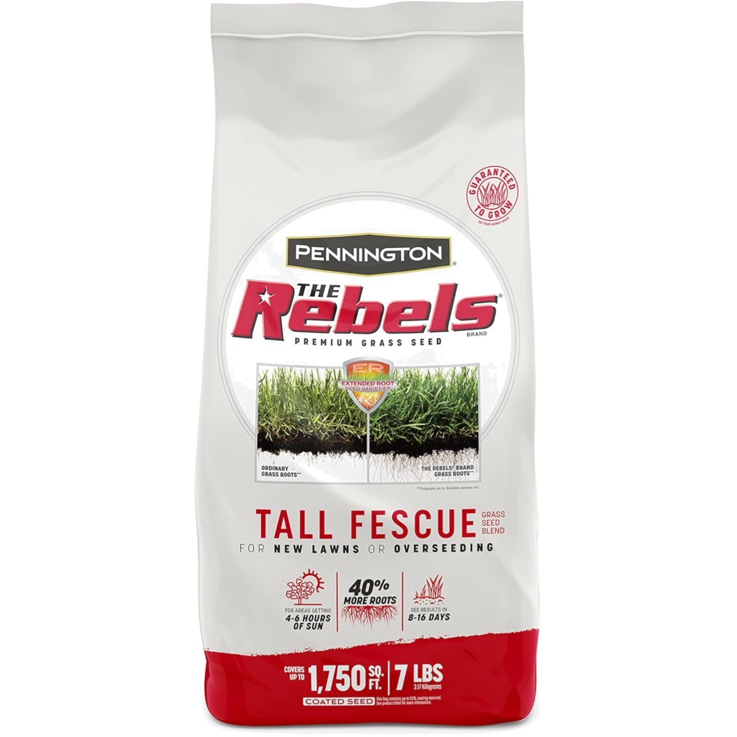 The Rebels Tall Fescue Grass Seeds 7 Lb - Fast Germination