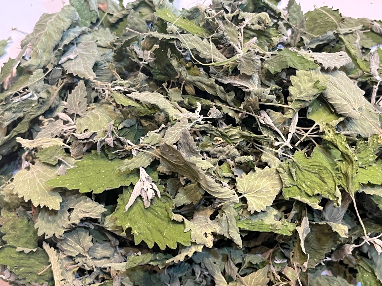 Dried Catnip Whole Leaf, 2 Oz, High Grade