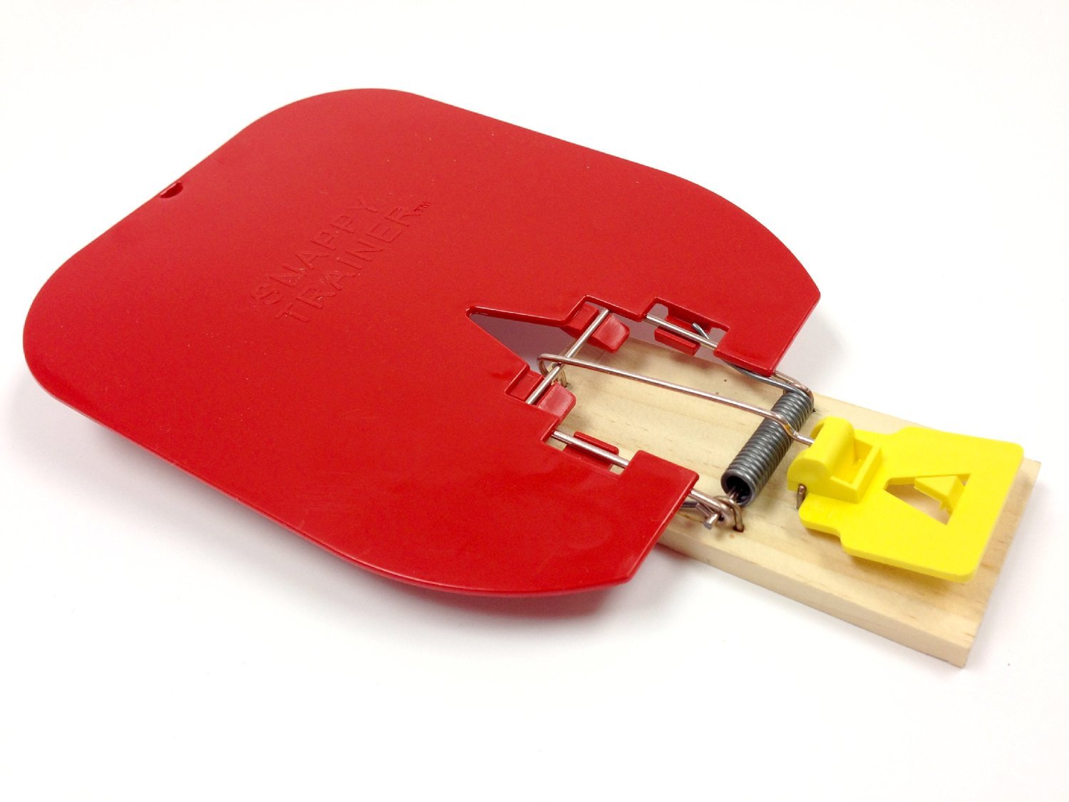 Snappy Trainer Bad Behavior Corrector for Puppies