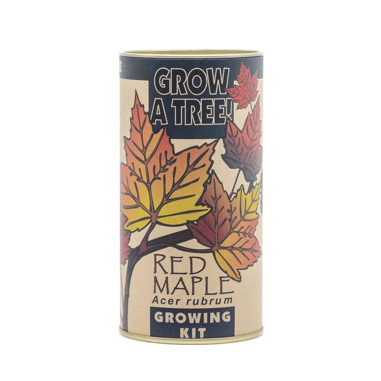 Red Maple Seed Grow Kit by Jonsteen Company