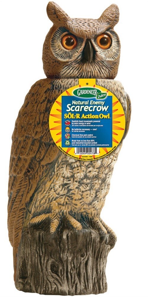 SOL-R Action Owl Camera Kit