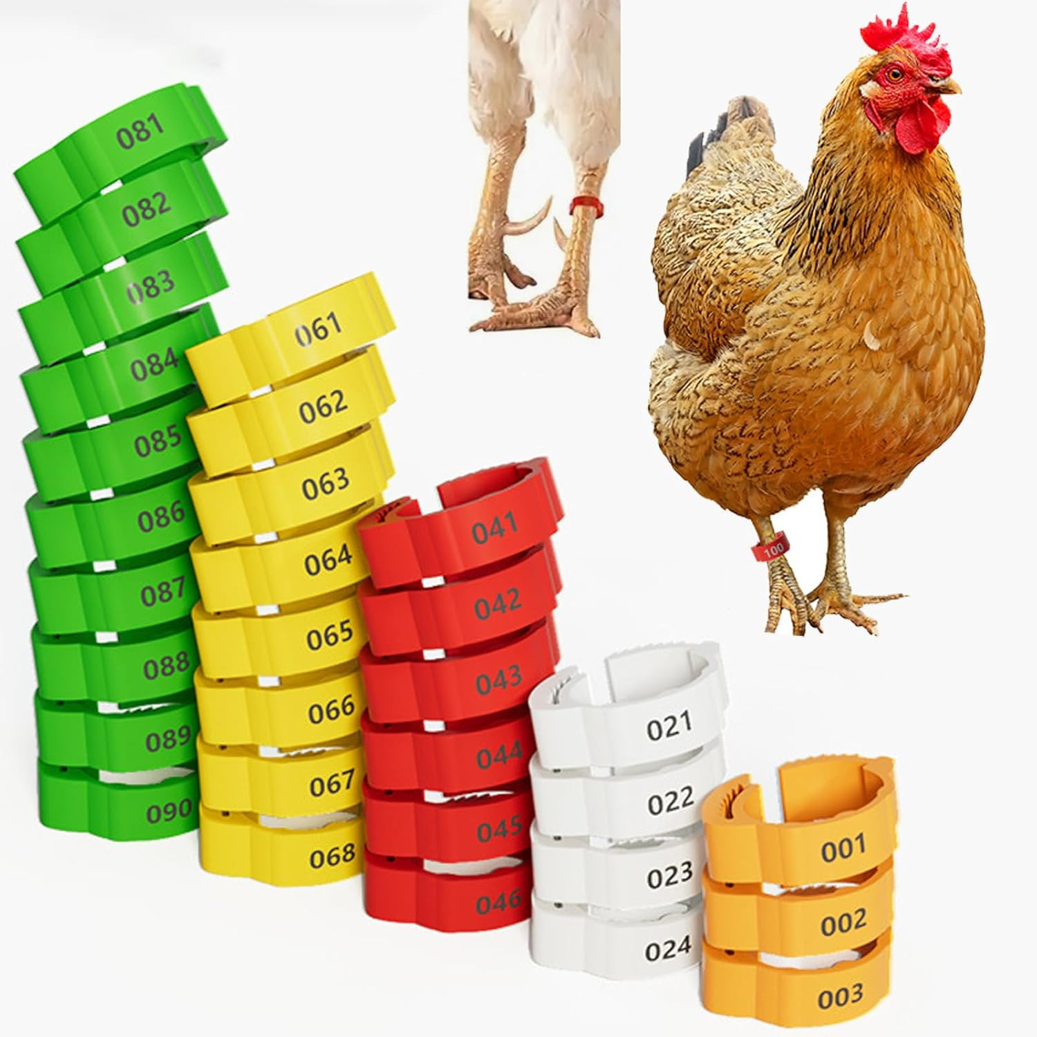 Chicken & Duck Poultry Leg Bands, 16mm, 100 Pcs, Adjustable