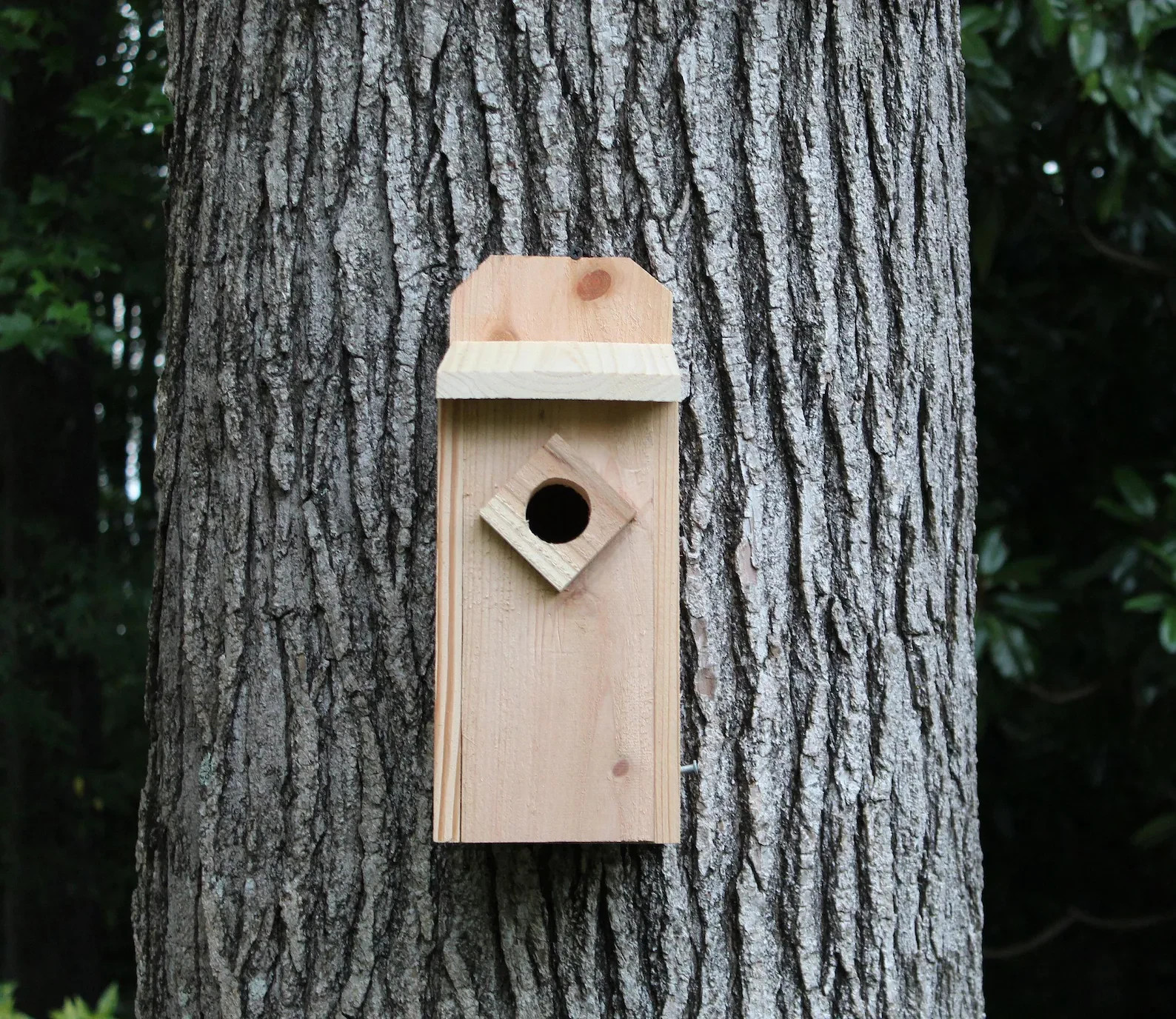 Cedar Wood Bluebird House Nest Box