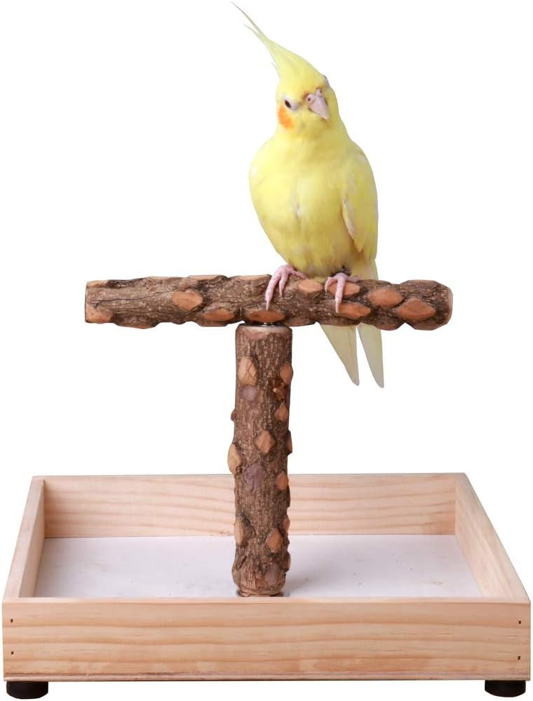 Pet Play Stand Tabletop Portable Parrot Perch Gym for Small...