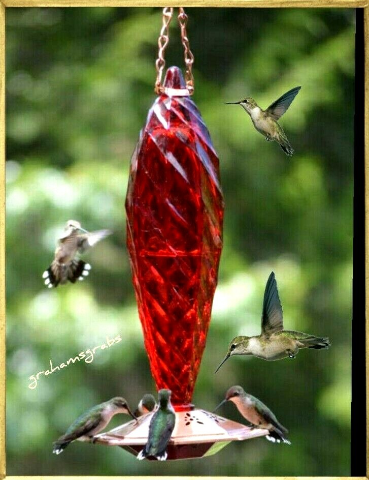 Ruby Red Crystal Spiral Faceted Glass Hummingbird Feeder