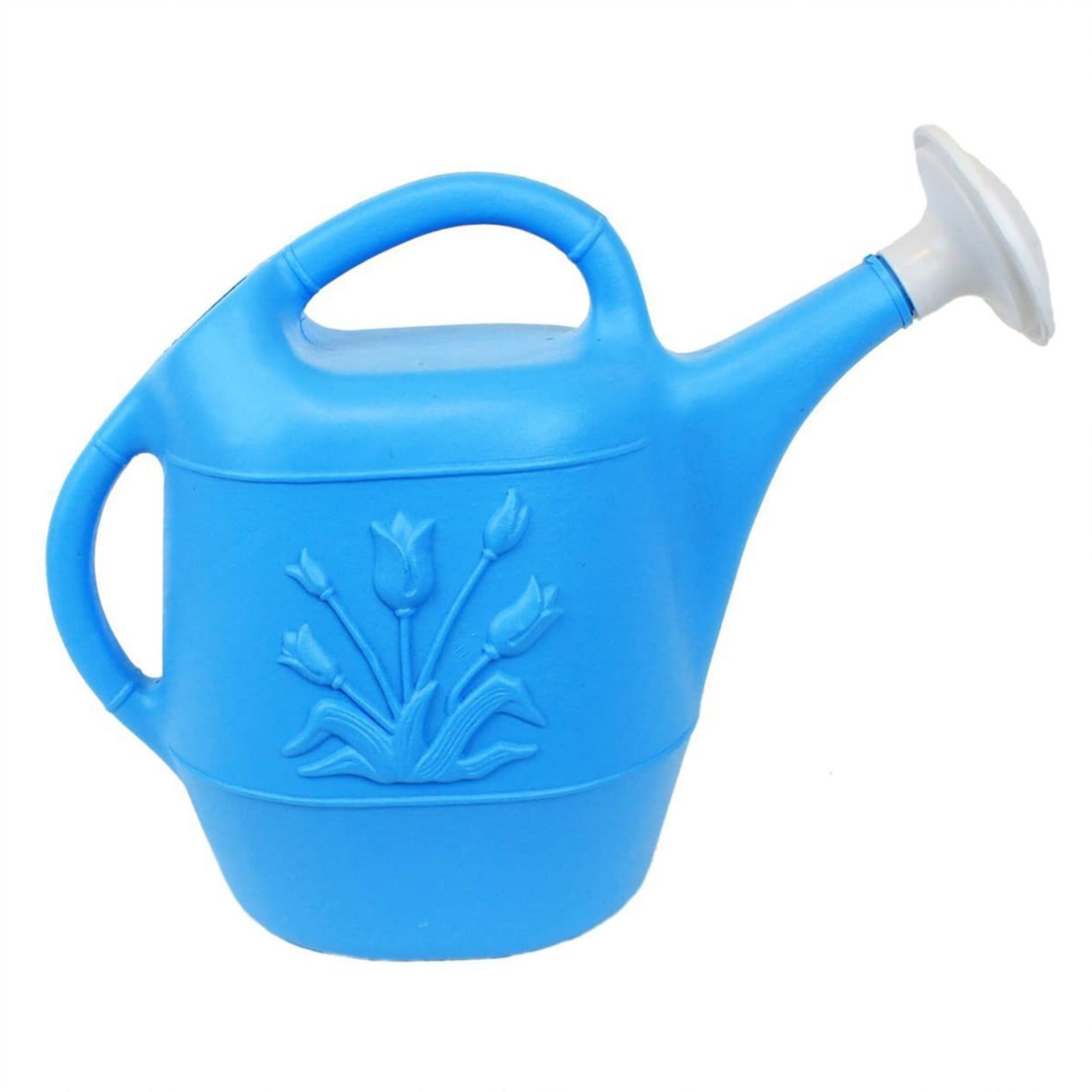 Union Products Caribbean Blue Watering Can - 2 Gallon Garden...