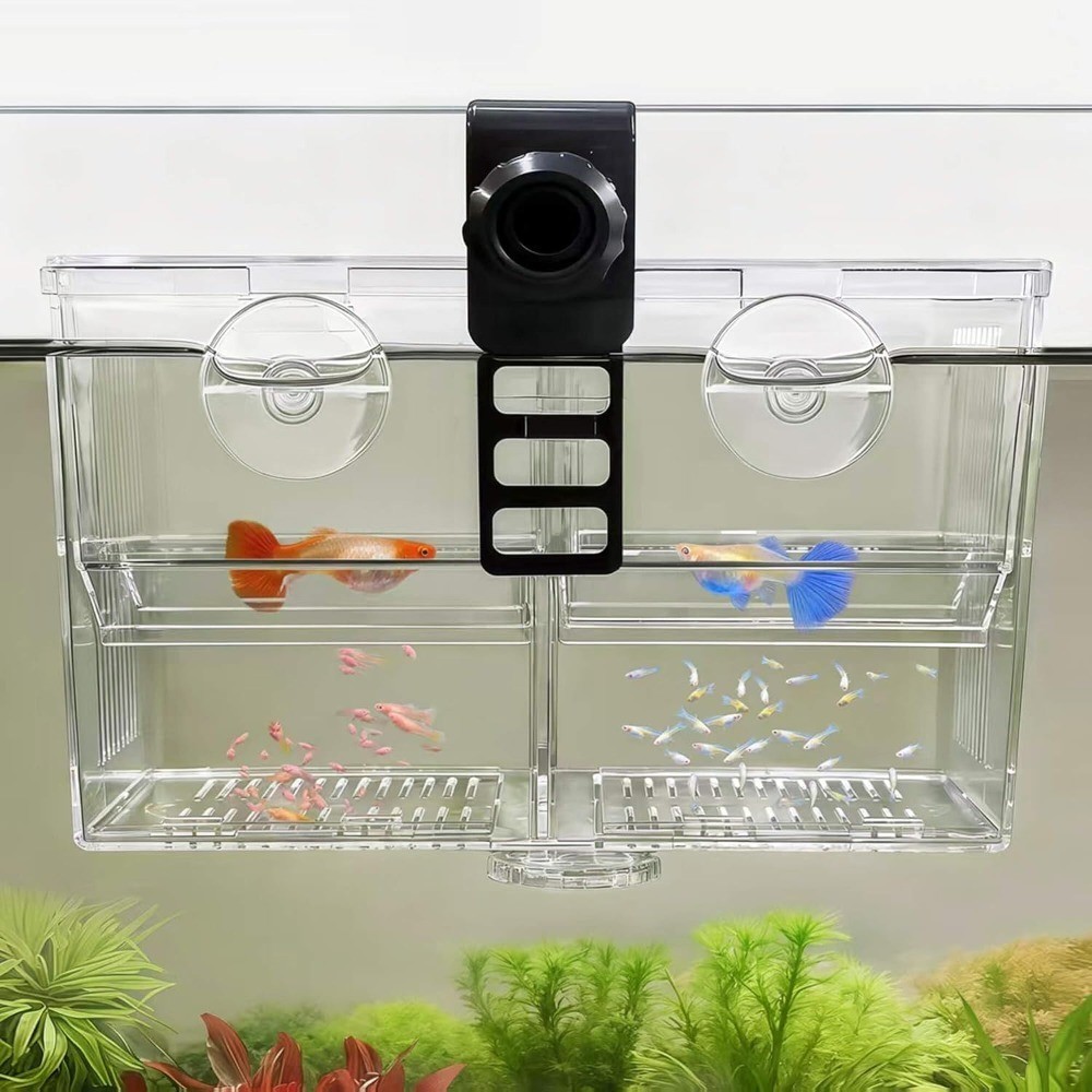 Dual-Chamber Fish Breeder Isolation Box - Transparent Hatchi...