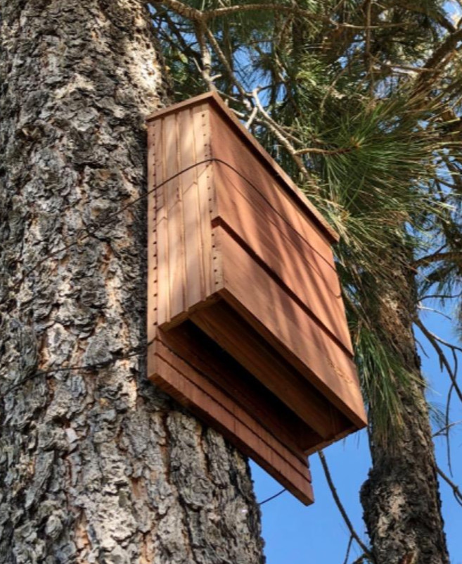 Bat House, All Natural Cedar Wood, 2 Chamber
