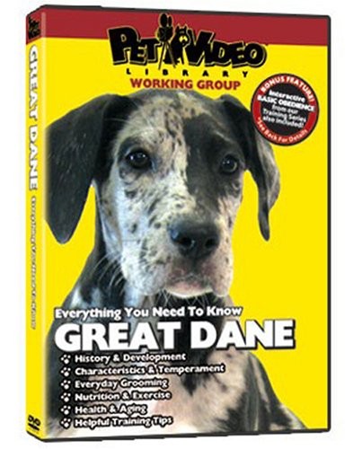 GREAT DANE Training DVD