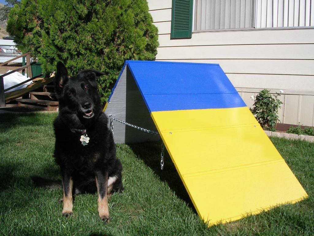 Dog Agility Mini A-Frame Equipment