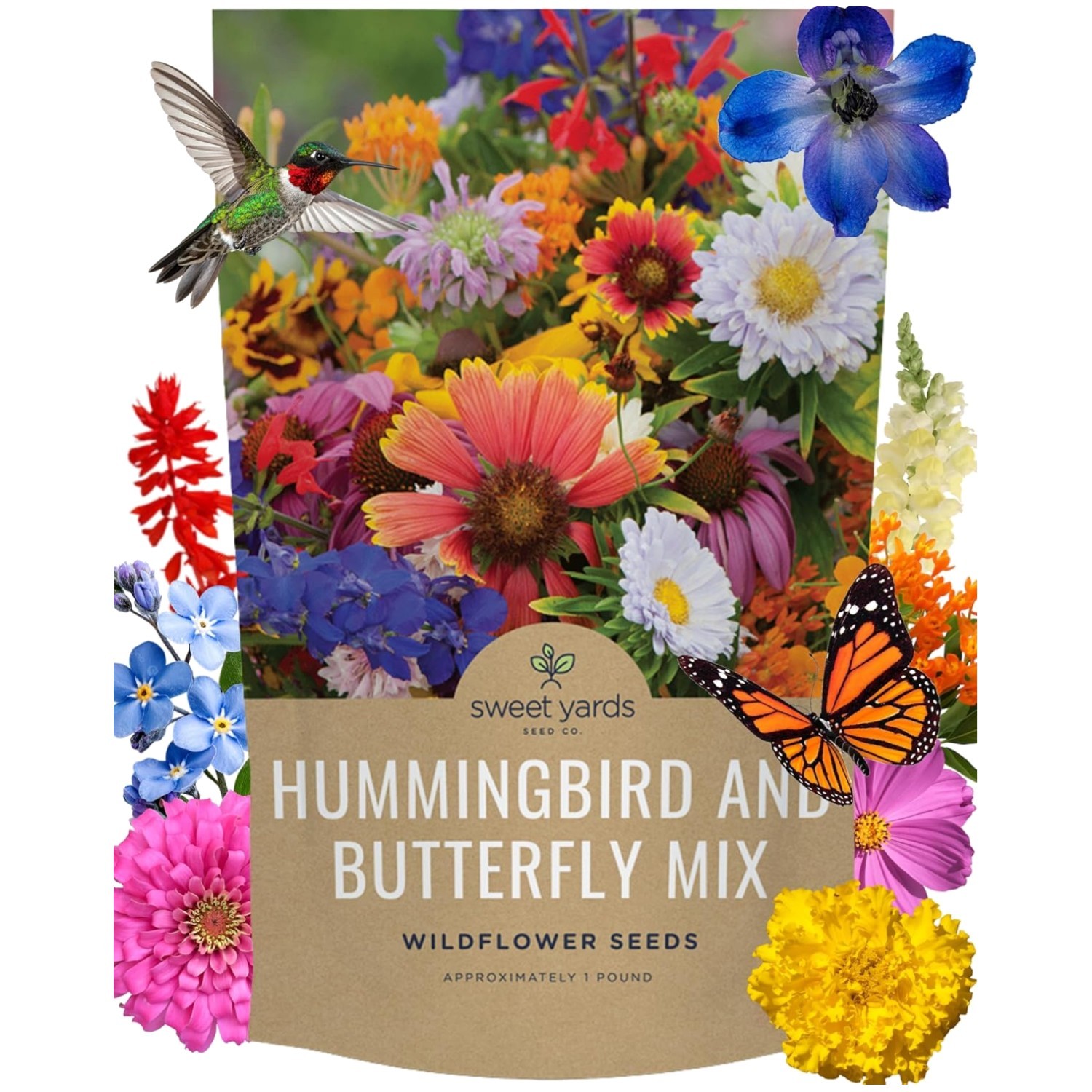 Vibrant Hummingbird Butterfly Garden Seeds - 1 Lb