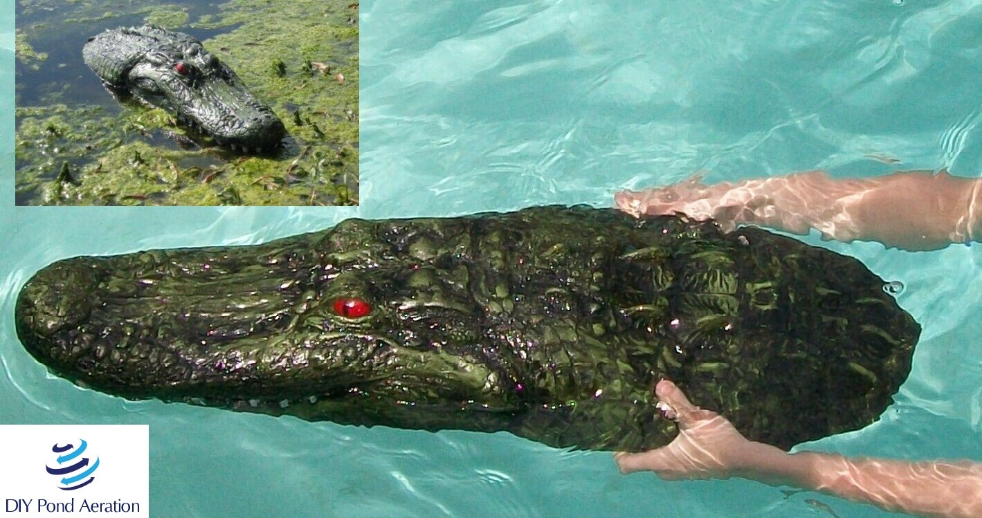 Floating Alligator Gator Head Decoy with Reflective Eyes - P...
