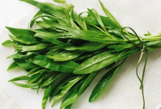Tarragon Seeds, 200+ Count