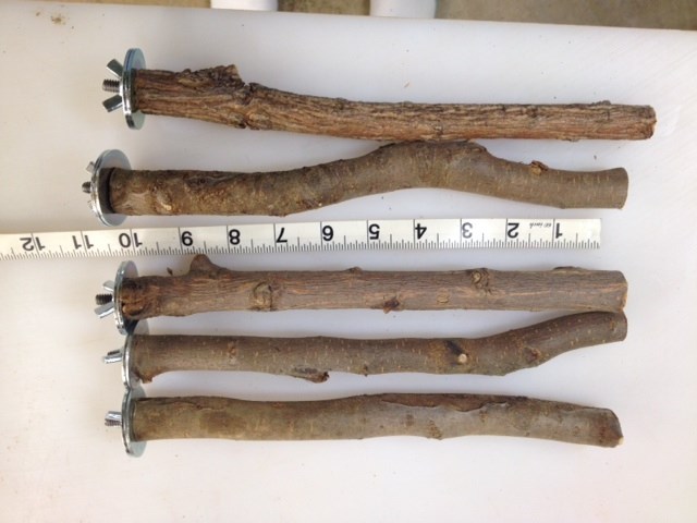 Wood Perches for Pet Birds - Natural Wood, Dowel, Cactus
