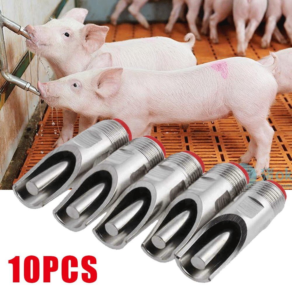 Stainless Steel Pet Pig Drinkers - 5 Units