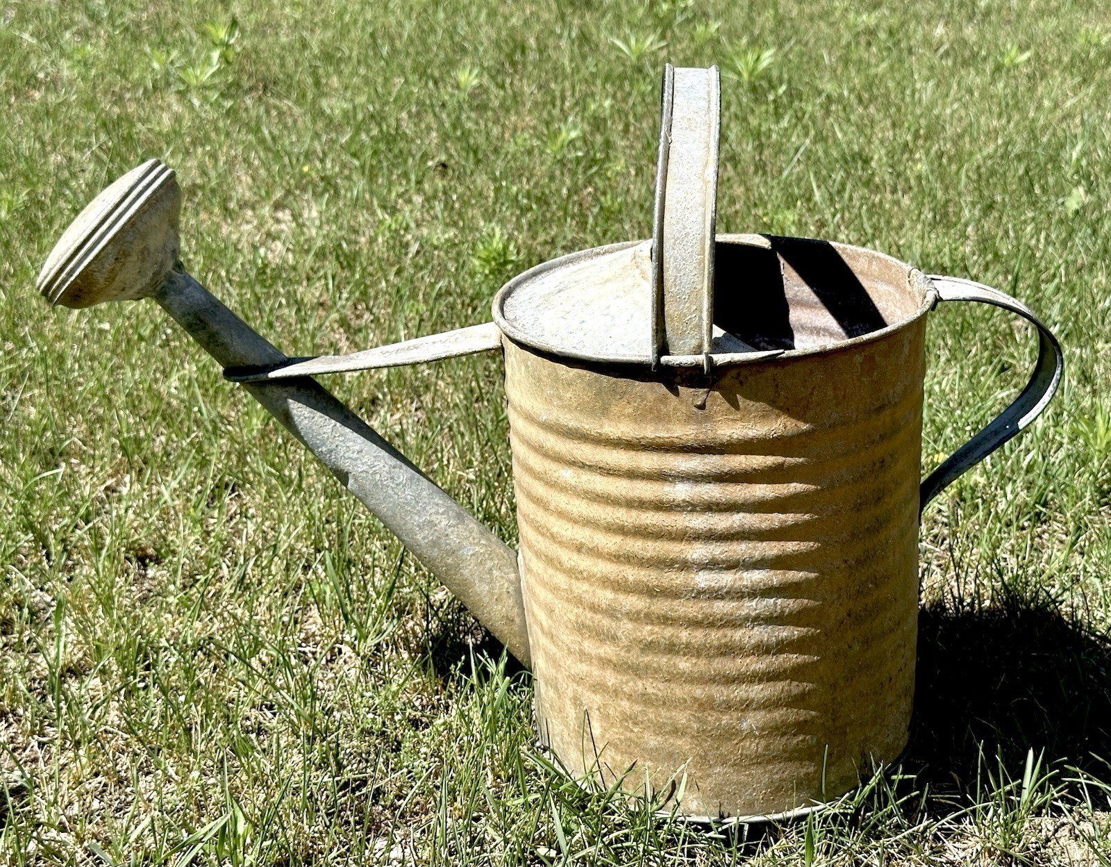 Vintage Galvanized Sprinkle Head Watering Can - 14.5" x 21"...