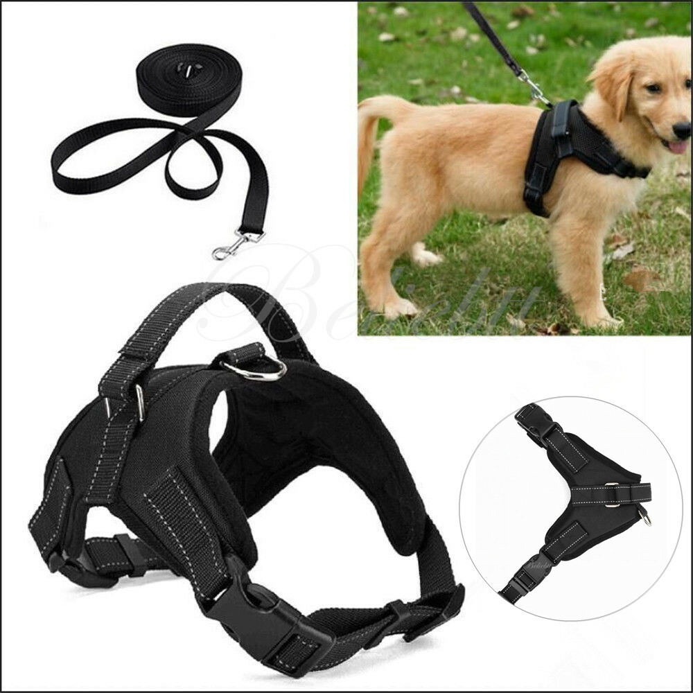 Large Dog Soft Adjustable Harness for Walking Out Hand Strap...