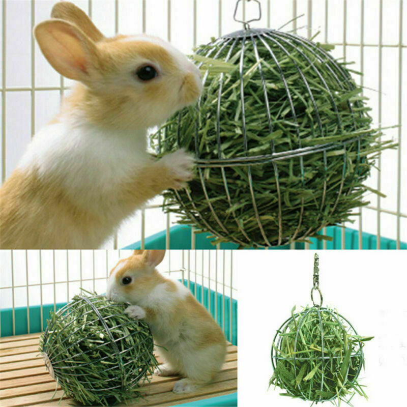 Guinea Pig, Hamster, Rabbit Pet Toy - Sphere Feed Dispenser...