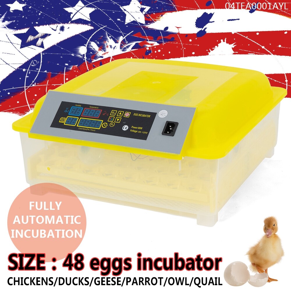 Digital Egg Incubator 48-Egg Automatic Turning Temperature C...