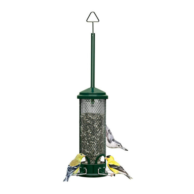 Brome Squirrel Buster Mini Bird Feeder, Squirrel Proof