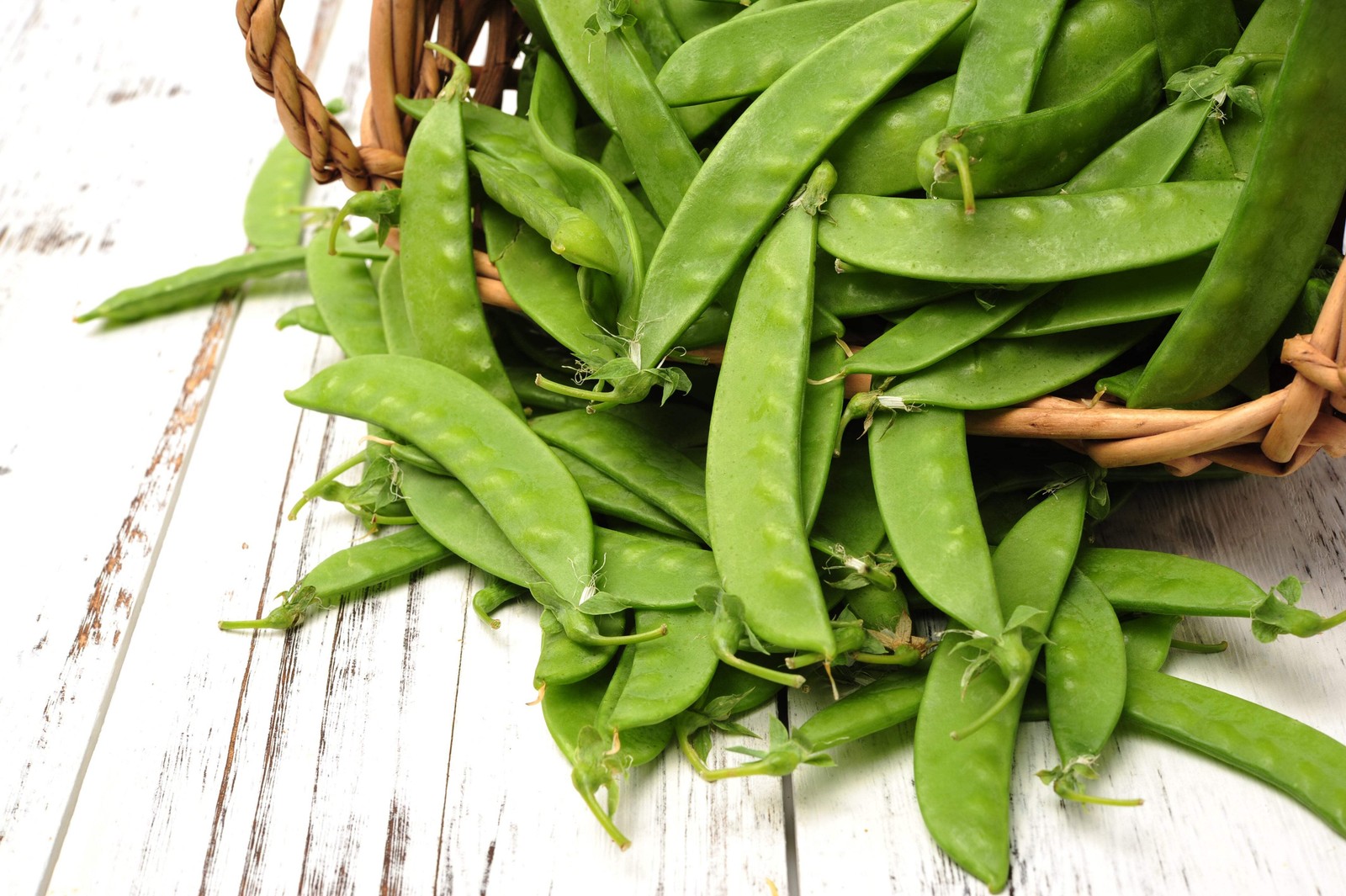 Pisum Sativum Snow Pea Seeds (50g)