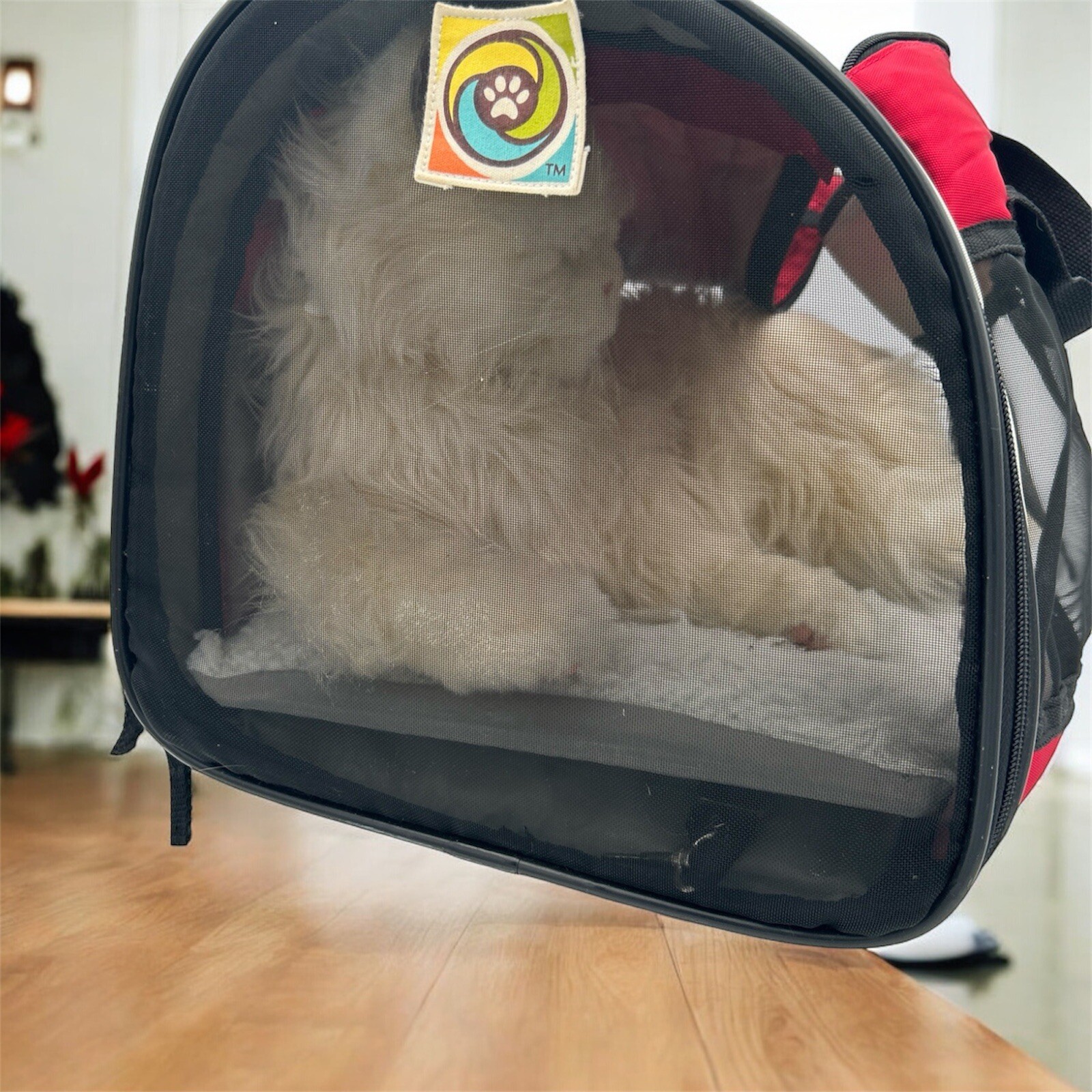 Cesar Milan Dog Whisperer Travel Carrier - Small Pet Carrier