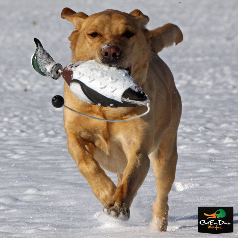 Avery Greenhead Gear GHG Dog Training Dummy Bumper - Bird Du...