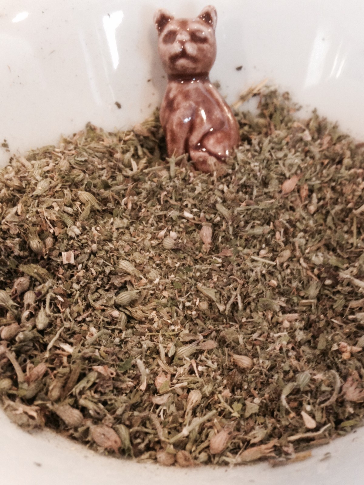 Organic Catnip Fresh 2026 Crop 1/2 Oz to 1 Pound