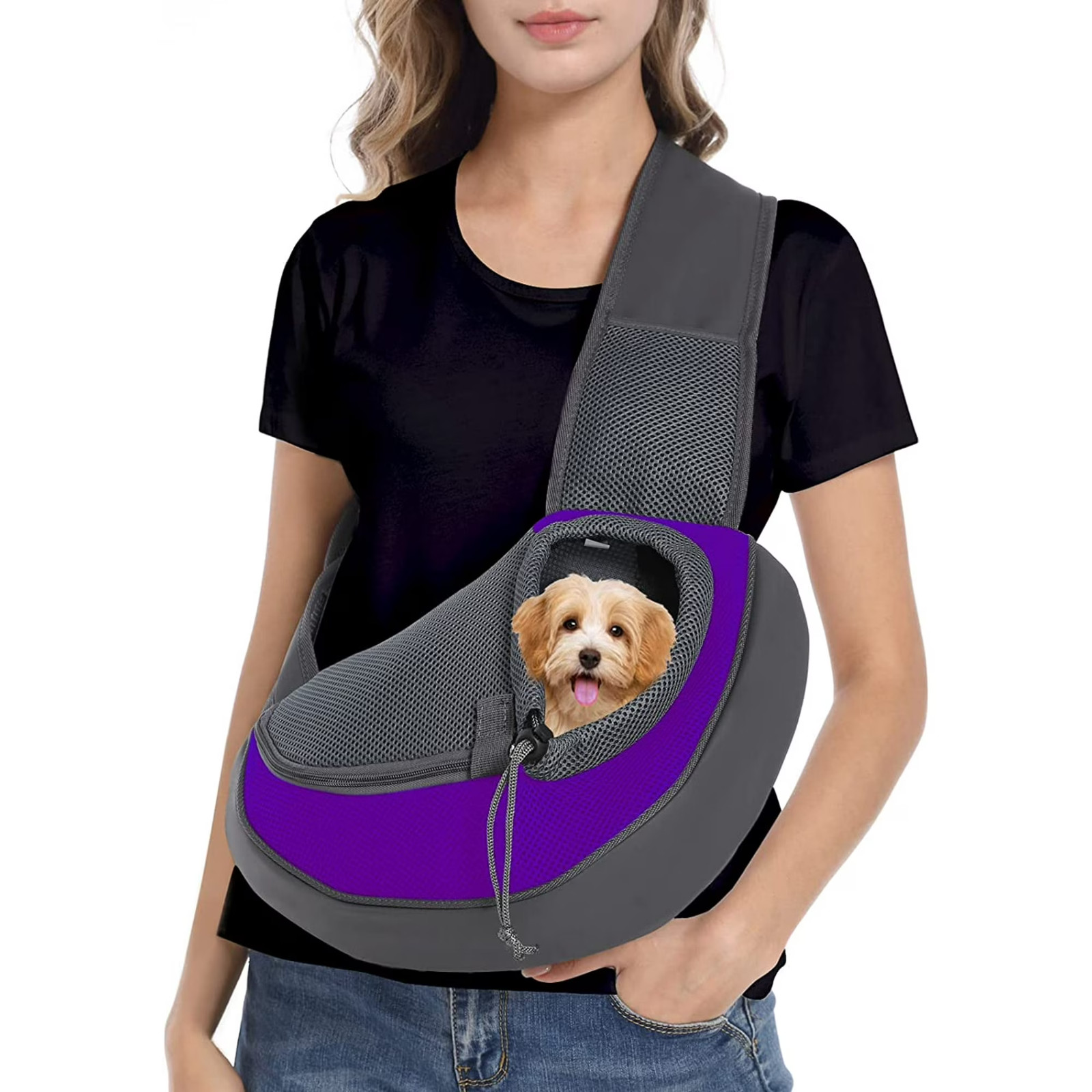 Pet Puppy Small Dog Cat Carrier - Comfortable Travel Tote (1...