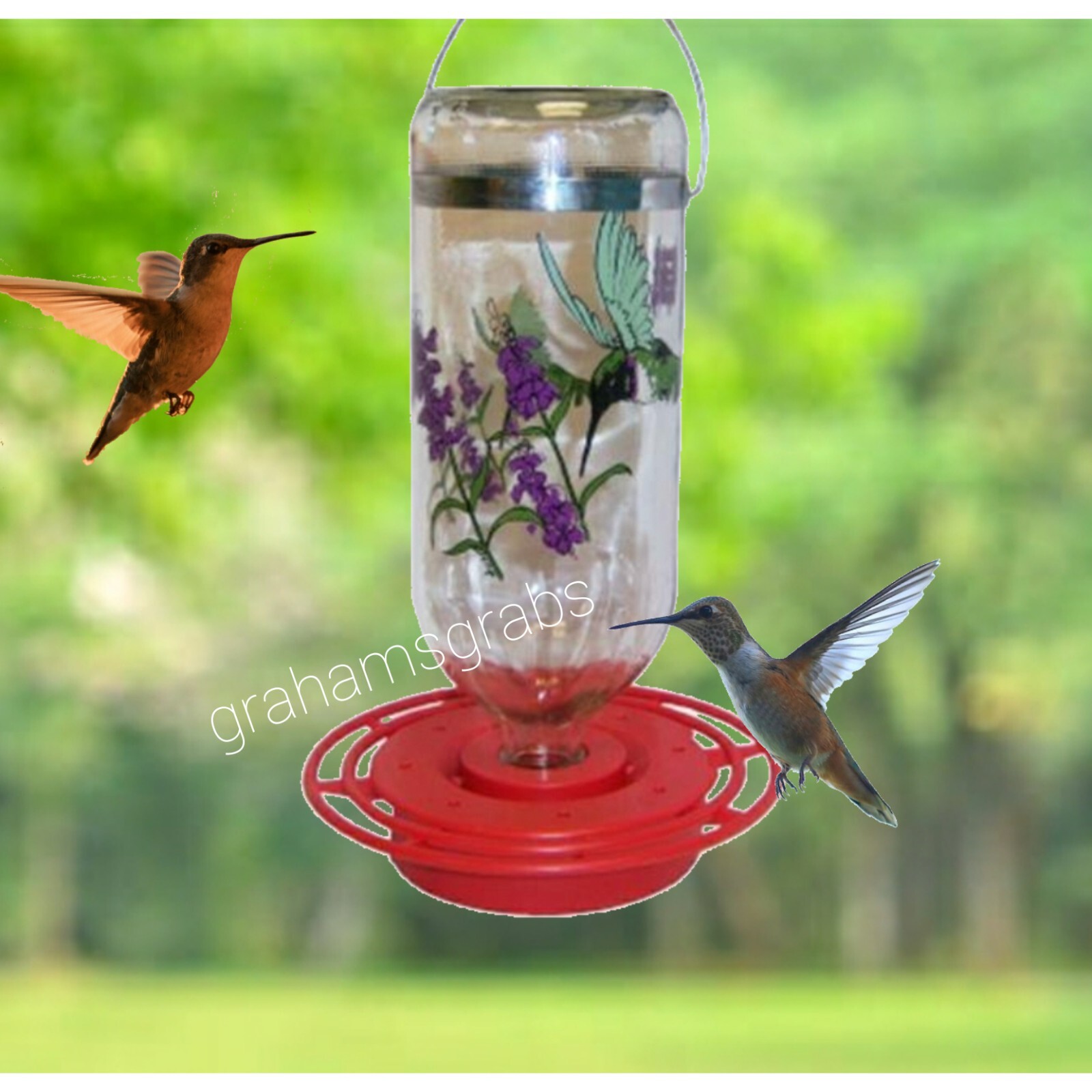 Bird Feeder — Best-1 Glass Hummingbird Feeder Black Chinned...