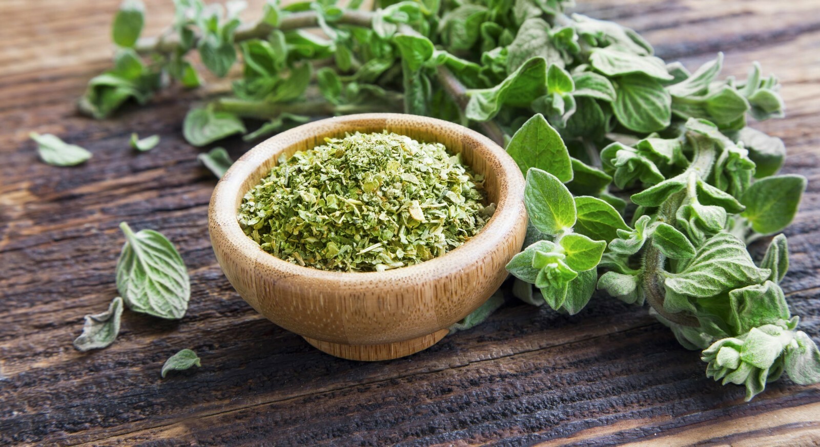 Italian Oregano Herb Seeds - 250 Count Heirloom Non-GMO