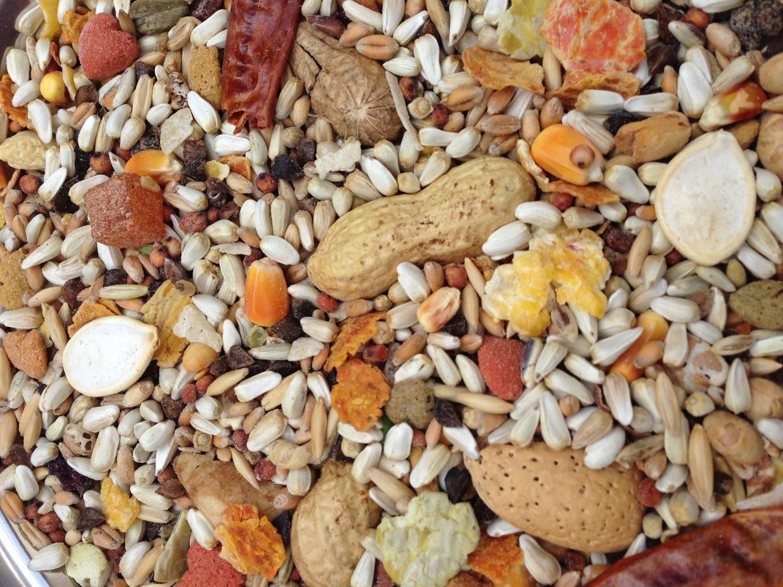 Higgins Safflower Gold Large Parrot Diet Bird Food Seed Mix...
