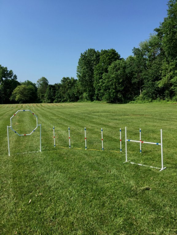 Premium Dog Agility Starter Set for Beginners