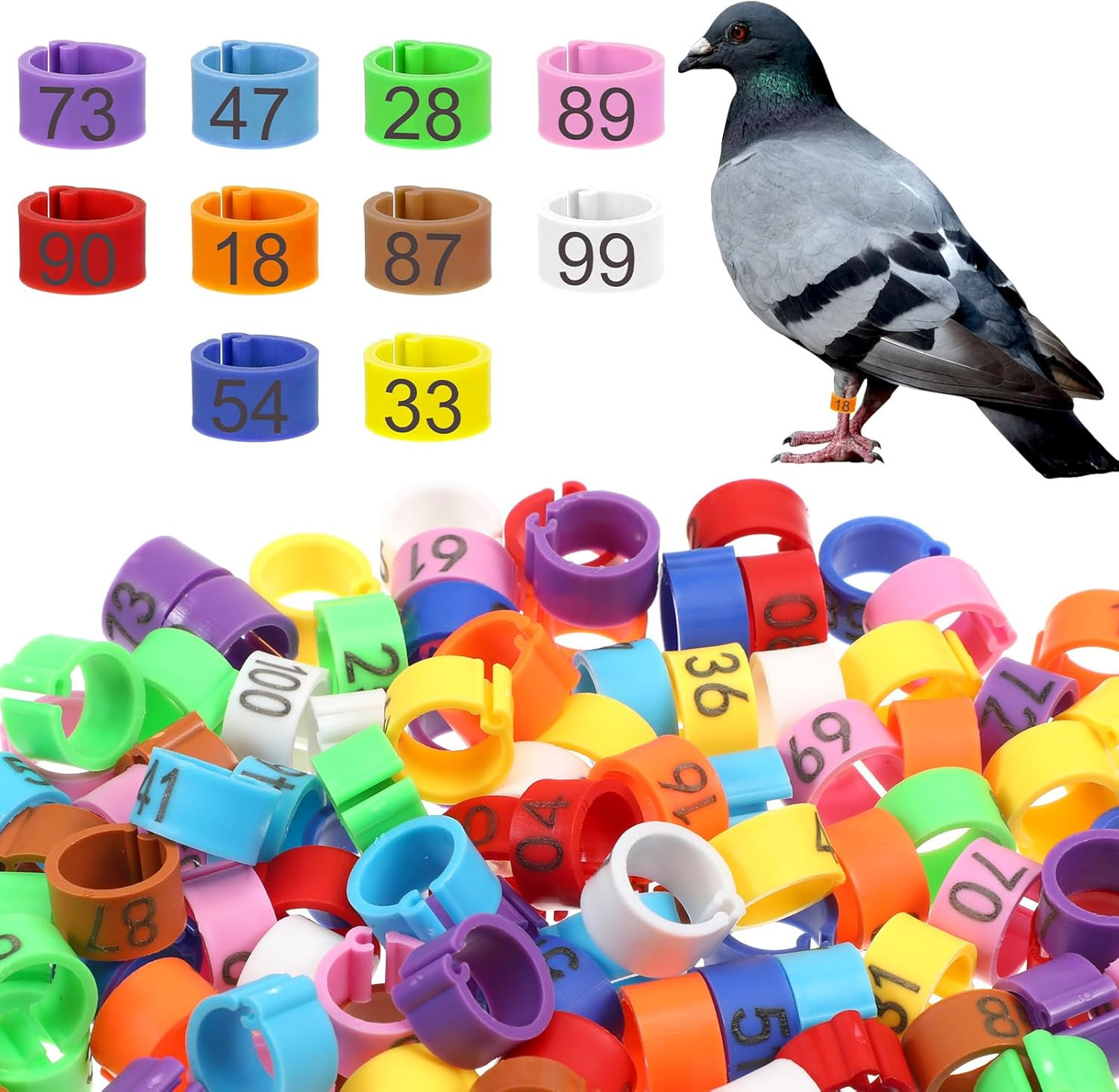 Birds Leg Rings, 8mm, 100 Pieces, 10 Colors, Numbered — Quai...