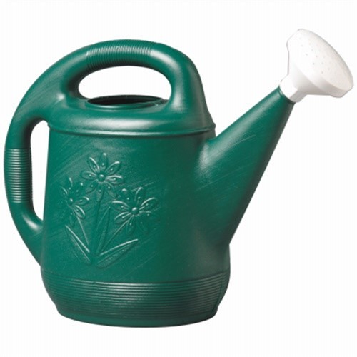 Green Plastic Double Handle Watering Can - 2 Gallon Capacity
