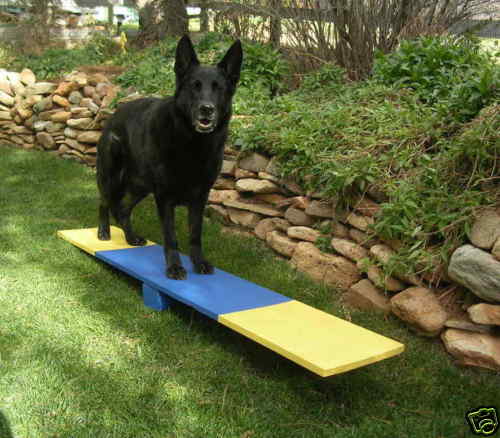 Dog Agility Mini Puppy Teeter, See Saw, Wobble Board