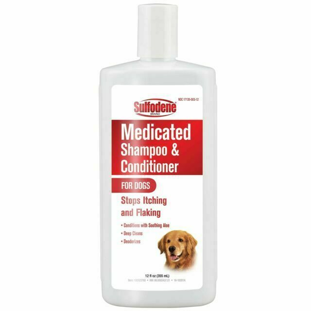 Sulfodene Medicated Shampoo with Aloe - 12-Ounce Bottle