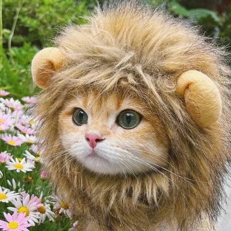 Lion Mane Cat Wig — Small Dog & Cat Costume Hat