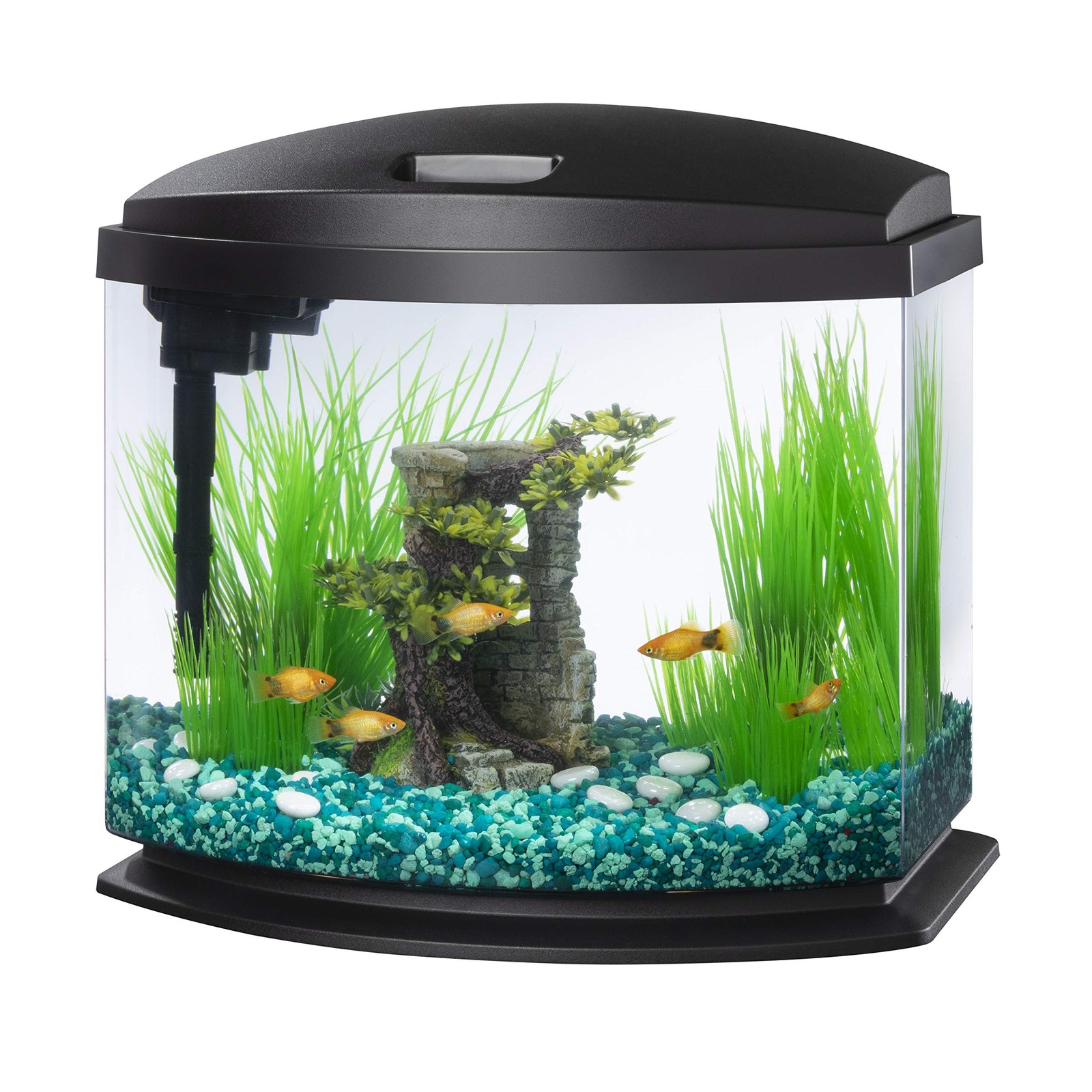 Aqueon MiniBow LED SmartClean Aquarium Kit, Black, 5 Gallon...