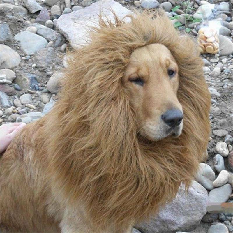 Pet Costume Lion Mane Wig - Dog & Cat Fancy Dress