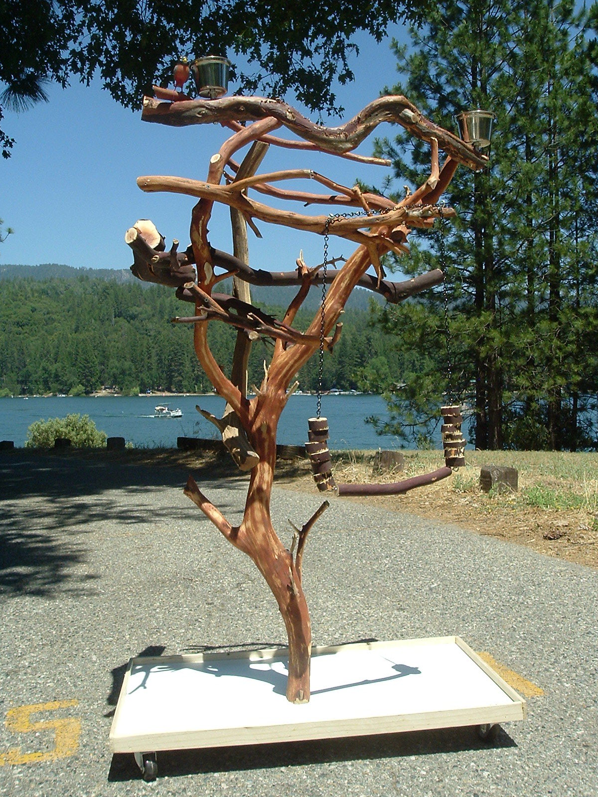 Afgray GW Sandblasted Manzanita Parrot Tree Stand 5' Bird Pe...