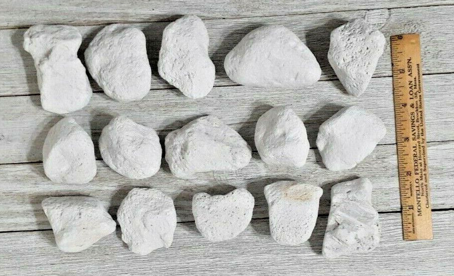 Chinchilla Pumice Pet Chews - Larger Size, 15 Pieces