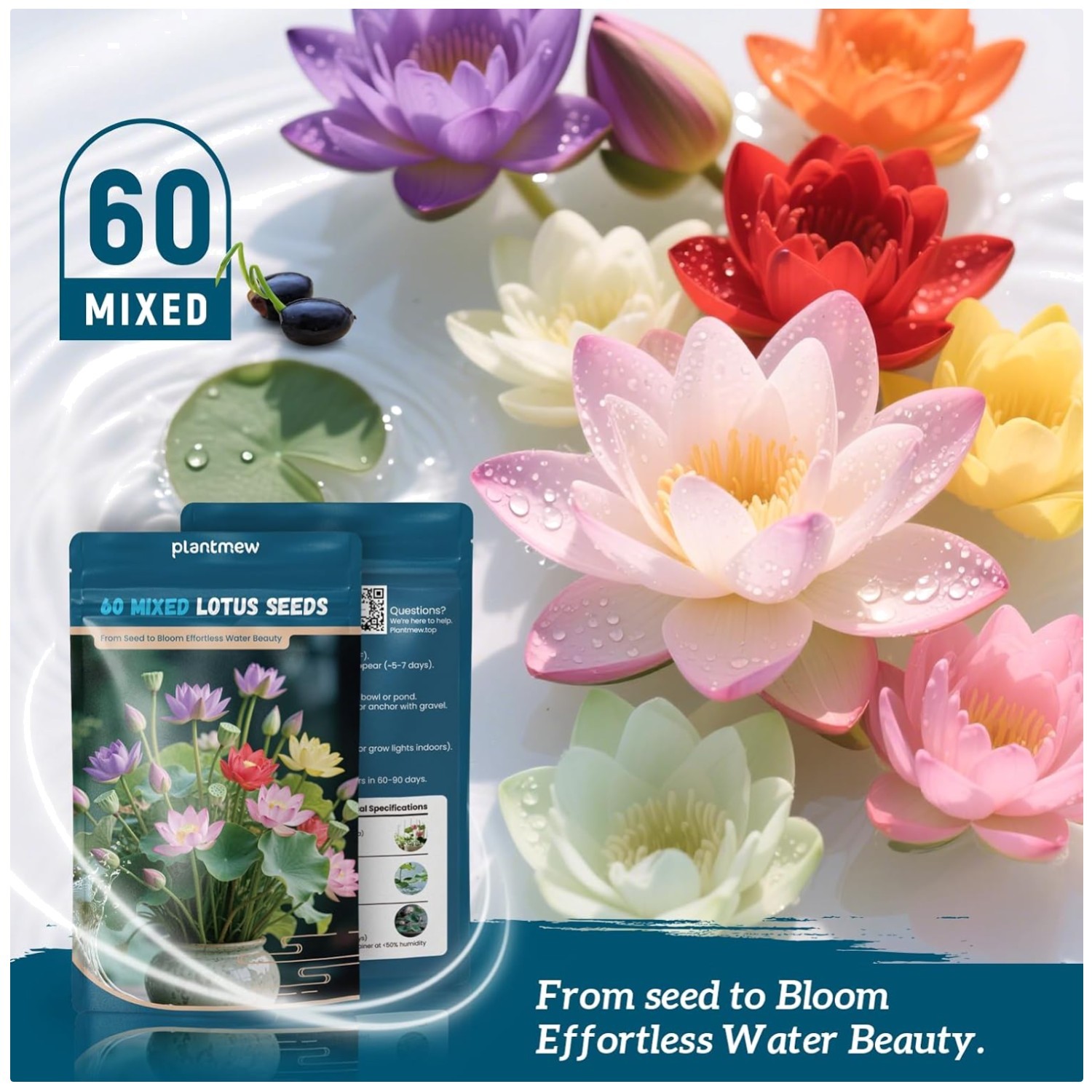 Water Lily & Pond Plants – Lotus Seeds Mix, 60 PCS