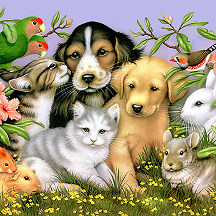 EMU Oil Shampoo & Conditioner for Pets