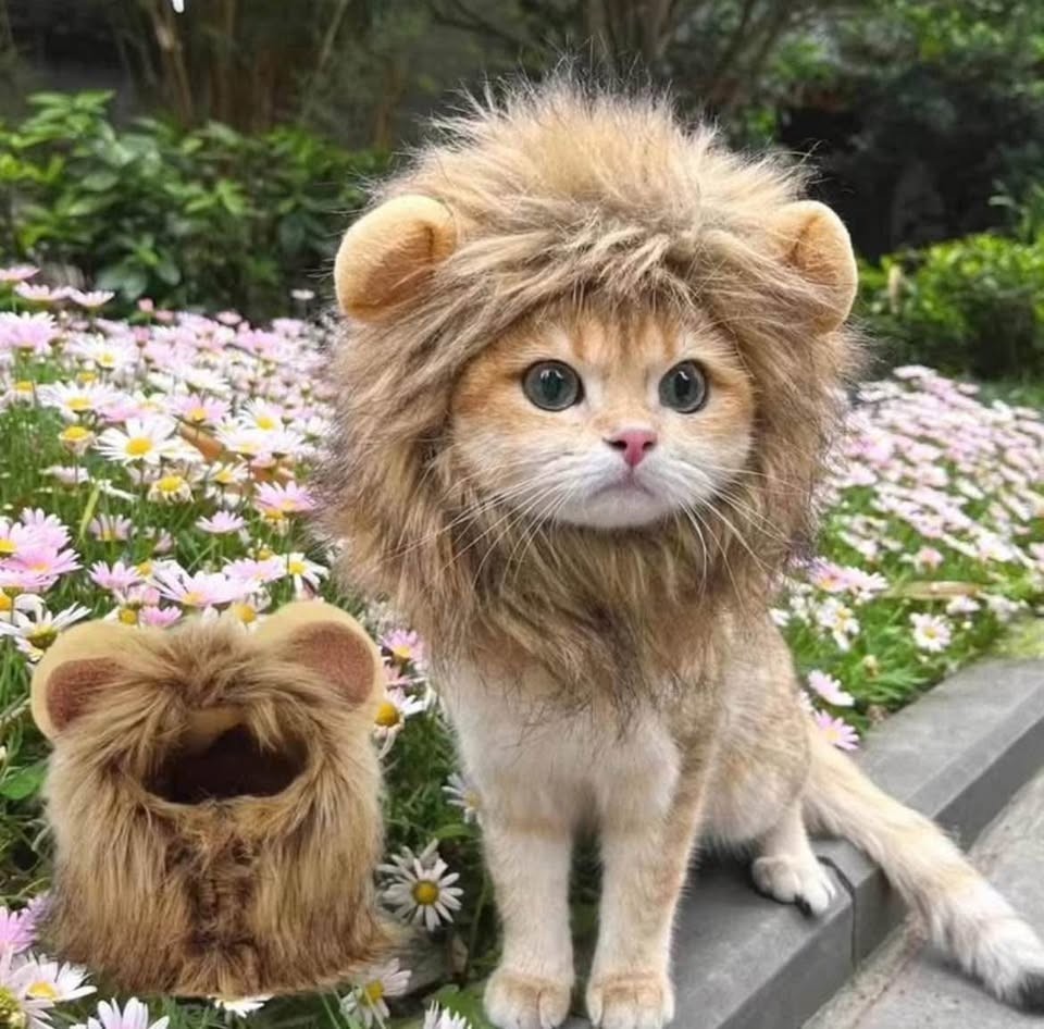 Halloween Fluffy Cat & Dog Wig – Lion Mane Costume